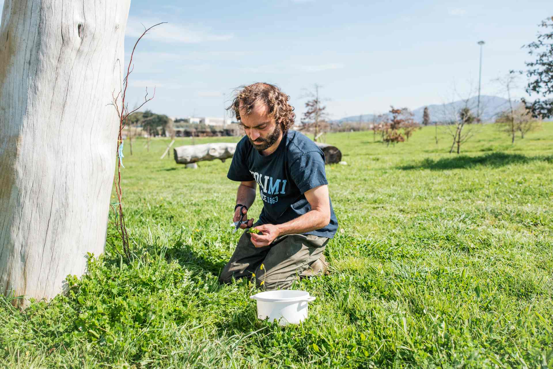 agricoltore con barba e capelli lunghi su un campo verde