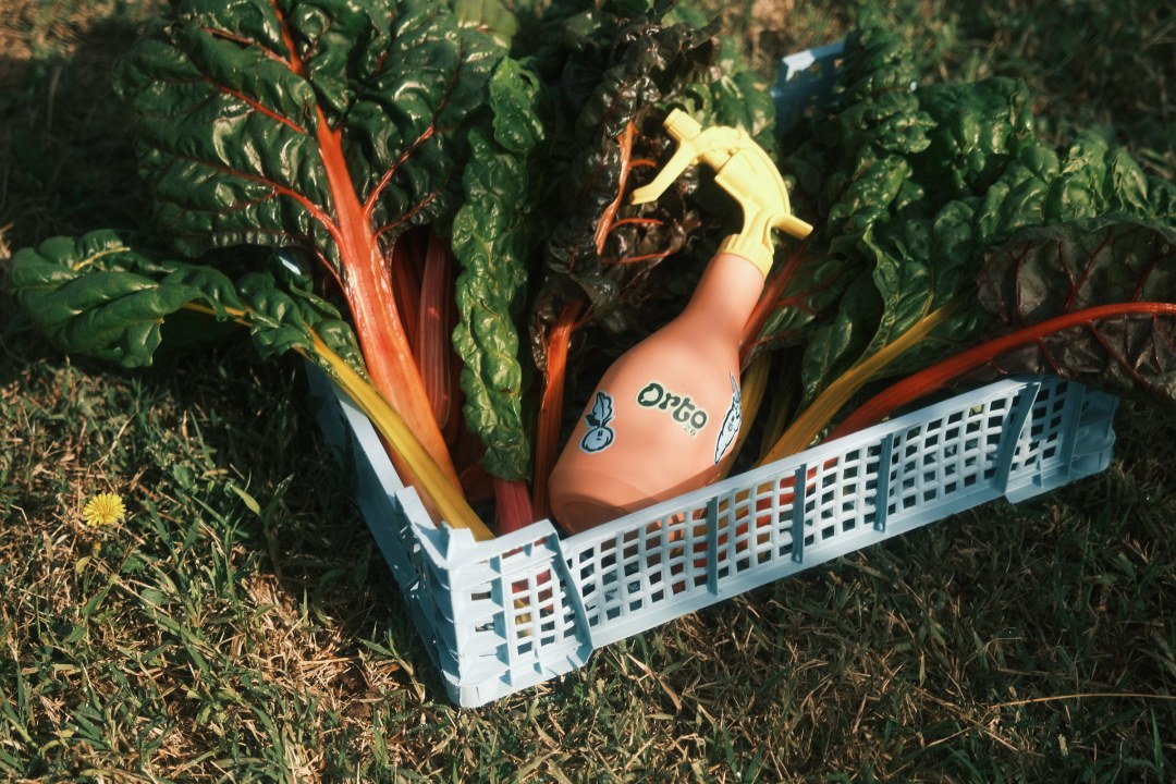 cassetta di verdure verdi