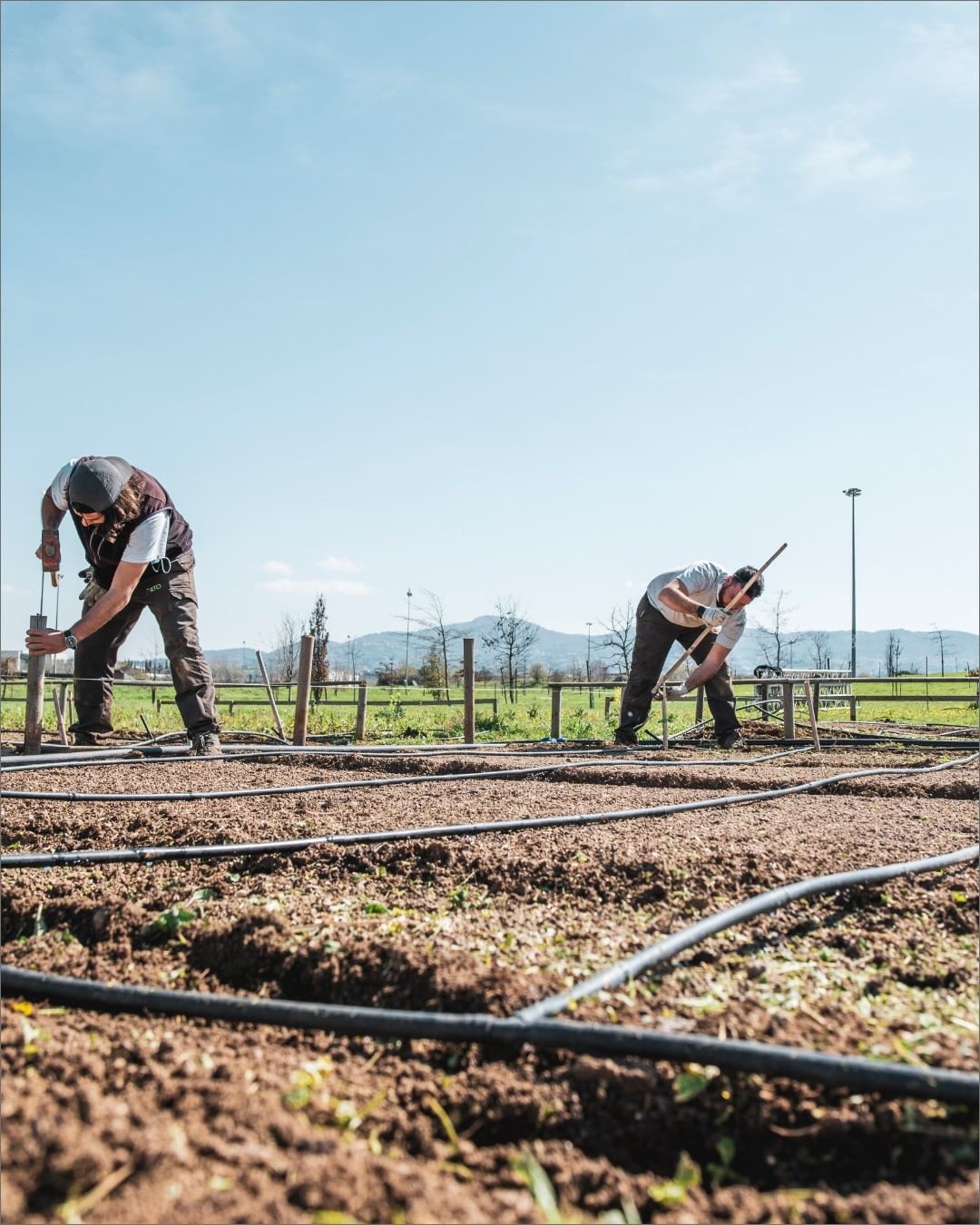 gruppi di agricoltori che sistemano impianto di irrigazione di un orto