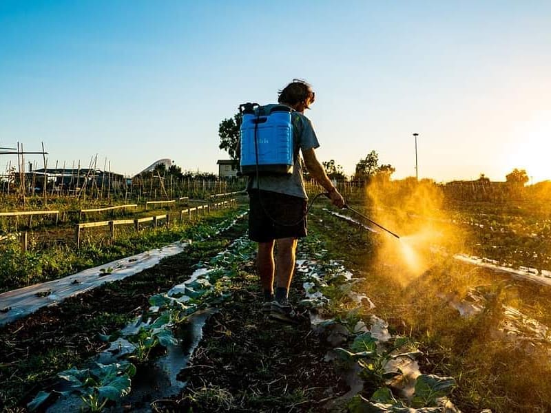 agricoltore con insetticida