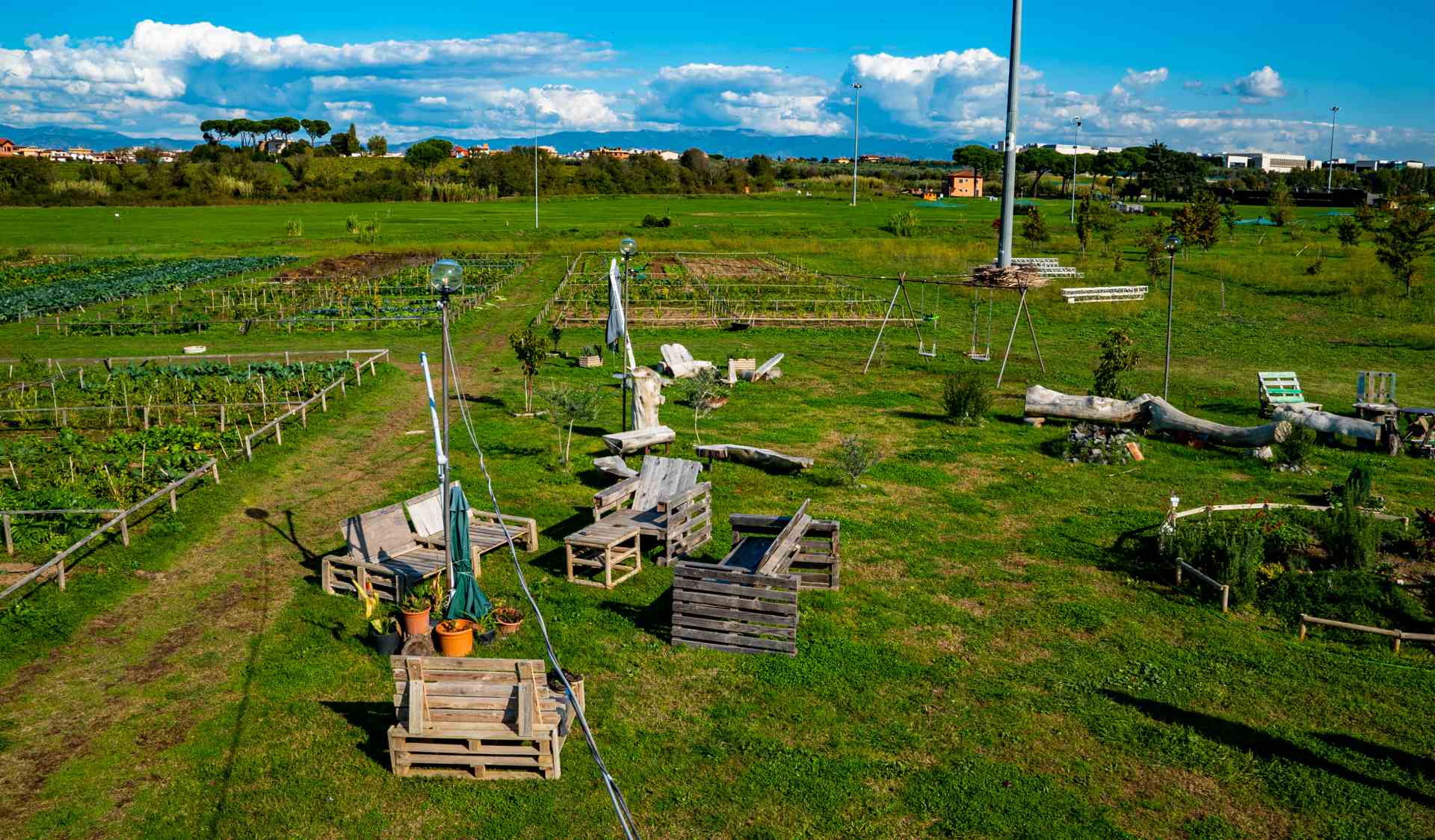 panchine ed alberi in un campo verde