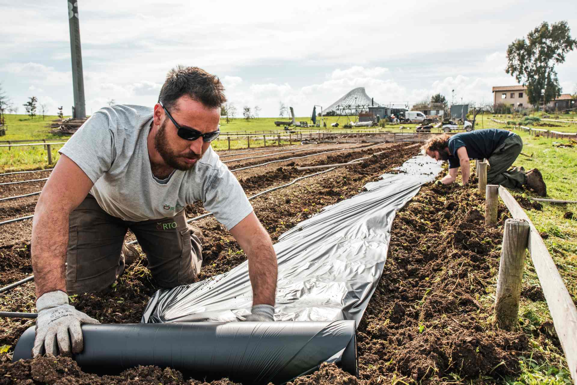 due agricoltori sistemano un telo su un orto