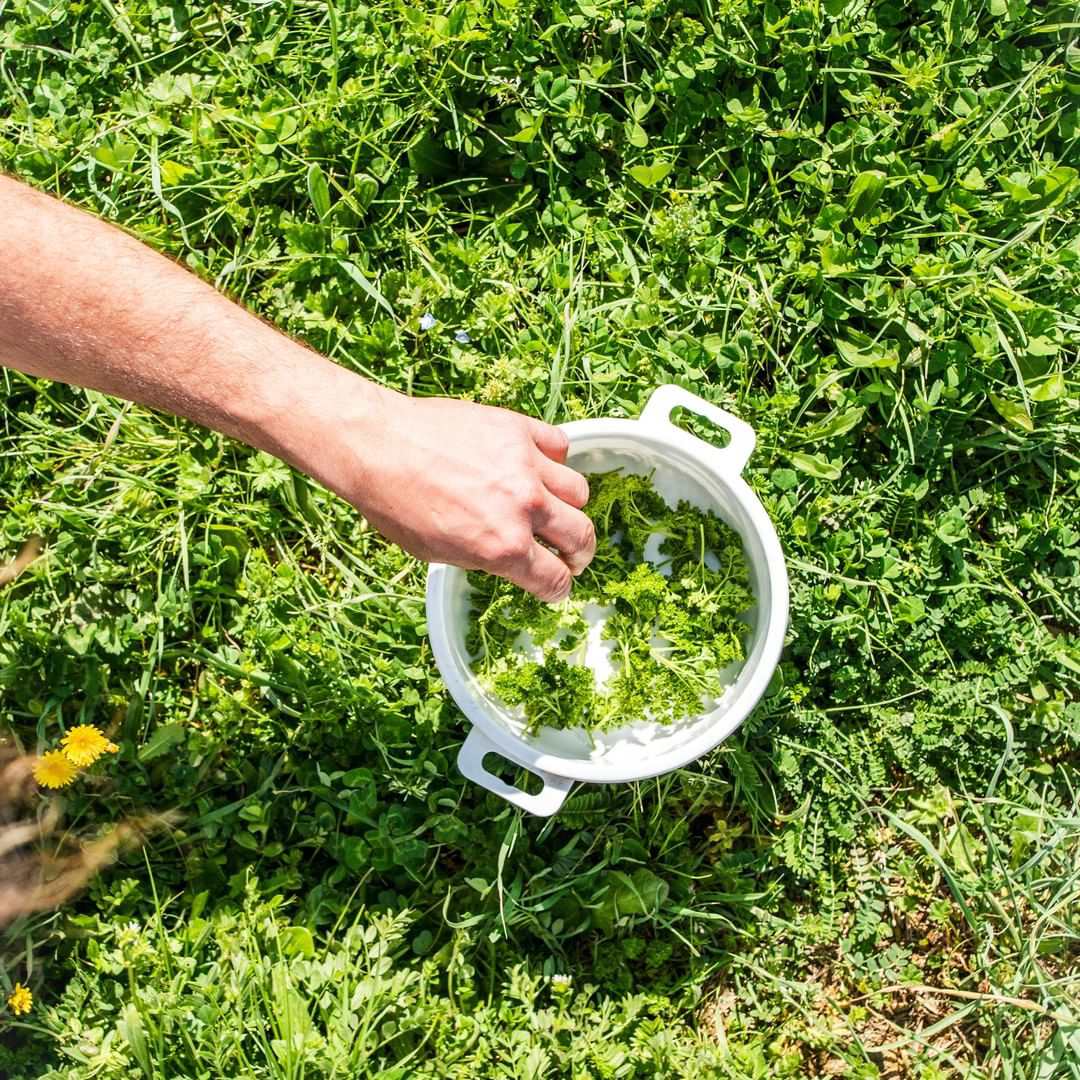 cesto di erba appoggiata su un prato verde